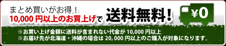 まとめ買いがお得！送料無料！