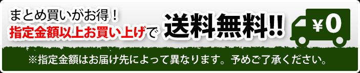まとめ買いがお得!送料無料!