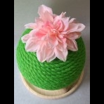 猫爪とぎ『サボテン型』